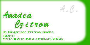 amadea czitrom business card